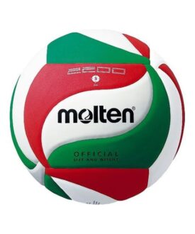 Minge volei Molten V5M2200