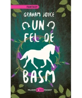 Un fel de basm